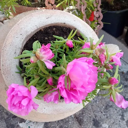 Σπίτι διακοπών Seaside House Mali Iz