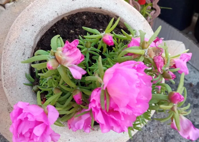 Nyaraló Seaside House Mali Iz